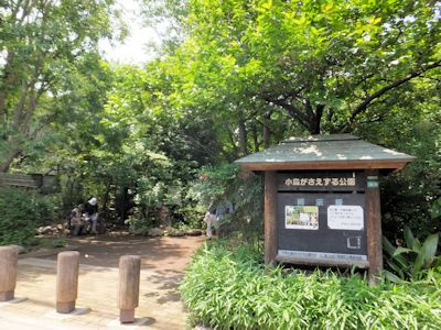 【周辺】 | 豊島区長崎5丁目　新築戸建　1号棟  9480万円 | 小鳥がさえずる公園