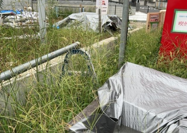 【外観】 | 現地に行くなら、物件の周囲の地形がどうなっているかを見ることも大切です。周辺より低くなっている土地では、大雨などで水が集まりやすいため、地盤が弱くなっているということも考えられるため、注意が必要です。
