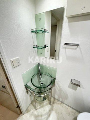 SERENiTE北浜の独立洗面台|独立洗面台、小物を置くことができて便利です