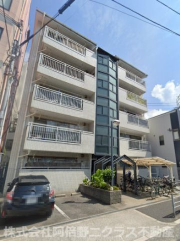 エレガンス・テンヨー