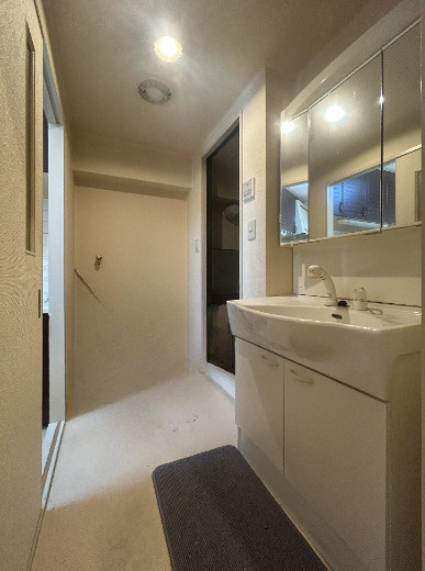 ライオンズマンション天王寺の独立洗面台|洗面室