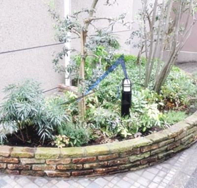 パティオ・デ本郷