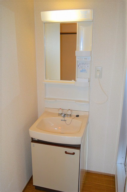 シティハイム大路の独立洗面台