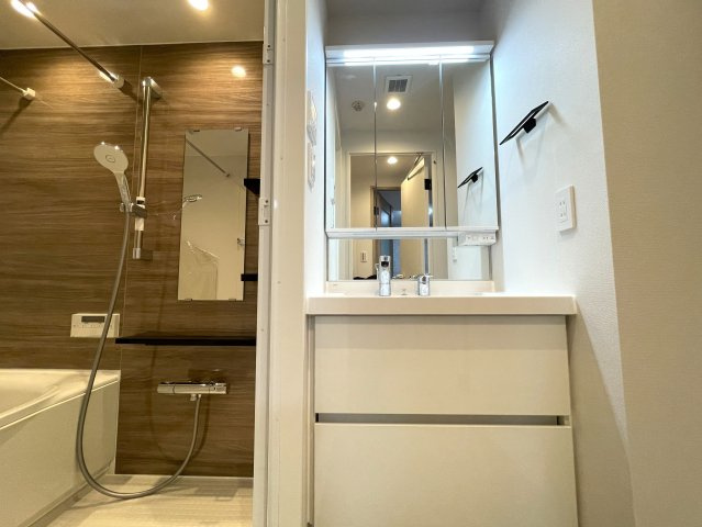 高円寺でワンにゃんライフ♪【リノベマンション／デュオ・スカーラ高円寺】の独立洗面台|独立洗面台、小物を置くことができて便利です