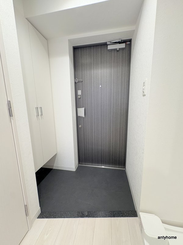 ソルテラス大阪BAY STATION SIDE　仲介手数料無料の玄関