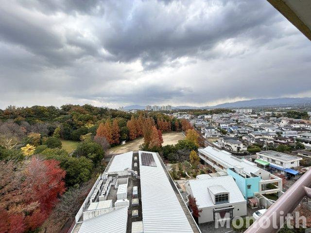 堺市南区茶山台３丁の賃貸マンションの展望