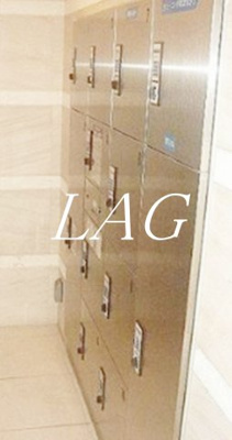 【その他共用部分】 | ラグジュアリーアパートメント本郷 | 宅配ボックスです。