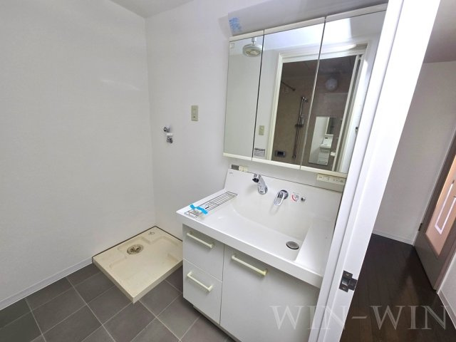 豊橋市下地町の賃貸マンションの洗面所