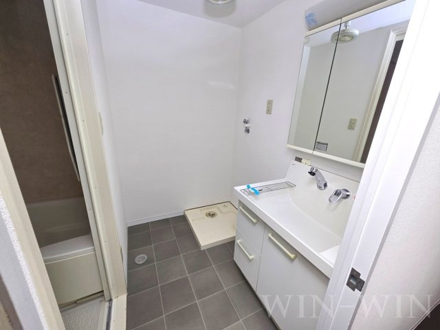 豊橋市下地町の賃貸マンションの洗面所