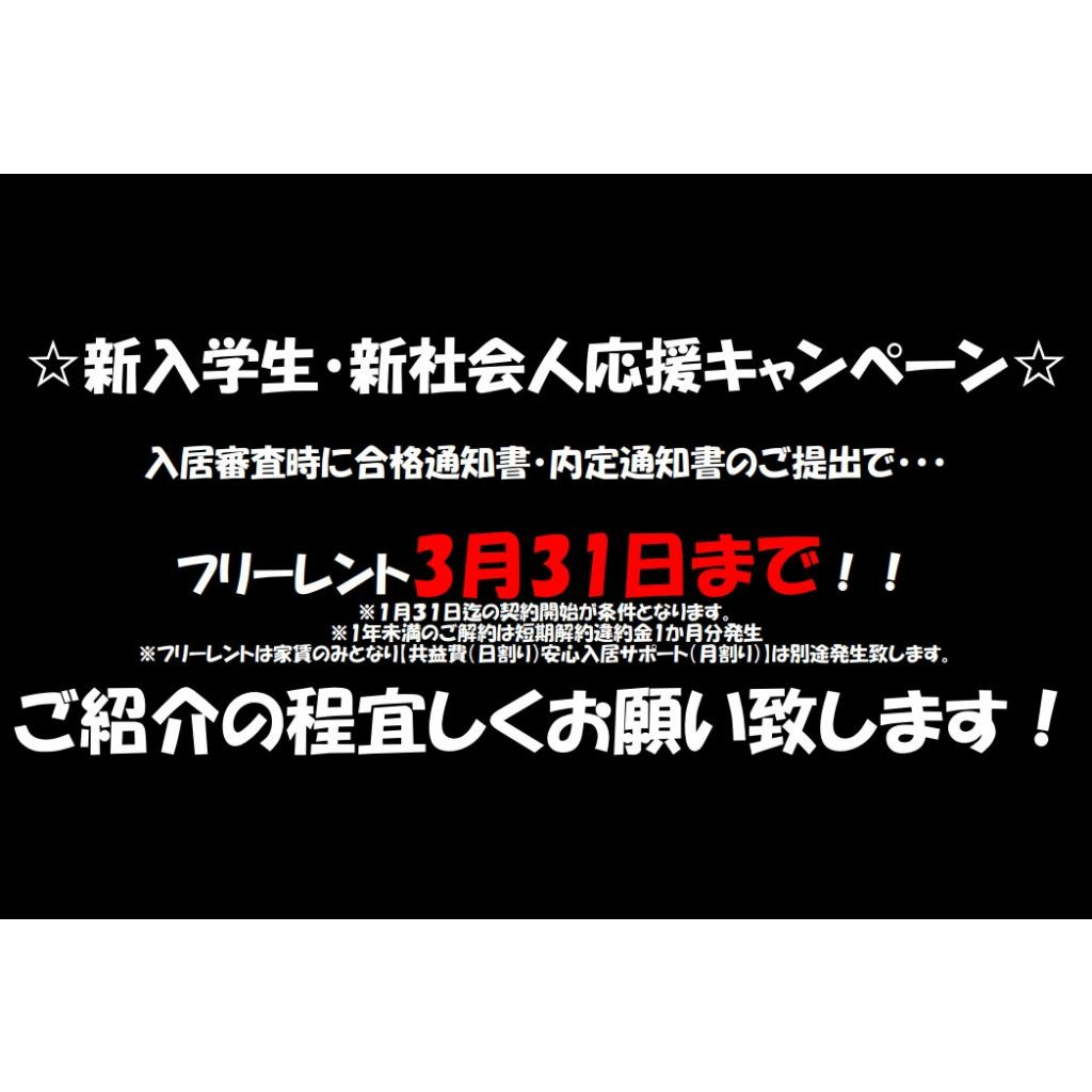パナハイツ伊藤のその他