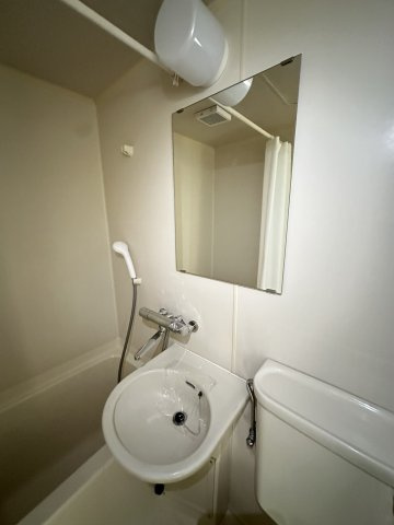 トルース相模原の洗面所