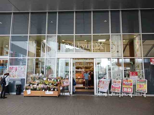 オーレヴィアの周辺|小田急OXまで500m