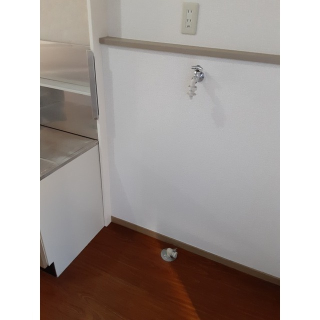 ＹＯＵＮＧ　ＡＭＭＳのその他|室内洗濯機置場