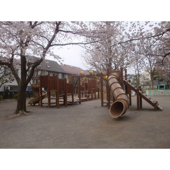 プラバーハイツ城山の周辺|公園「中野区 桜山公園まで488ｍ」