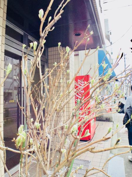 サンモール鈴木のその他