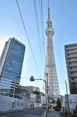 【その他】 | Ｆｏｒｂｉｔｅｚｚａ |  