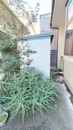 売中古戸建　中央区十軒町の庭