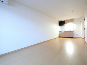 【その他】 | ドミールコスモス　B