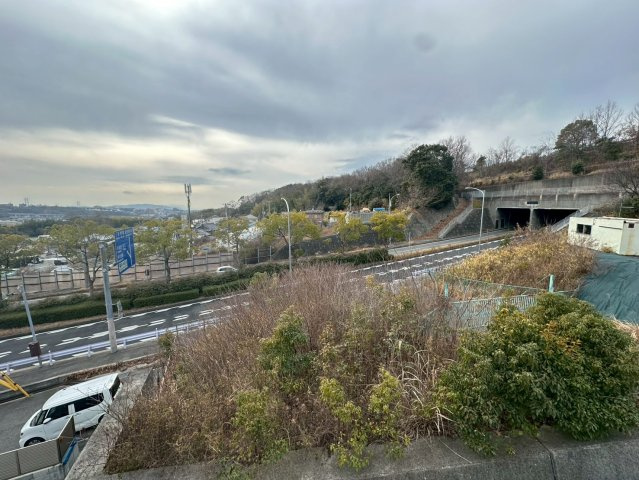 シャルマン ヴィオラのその他