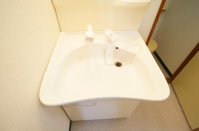 ライズ綾の洗面所