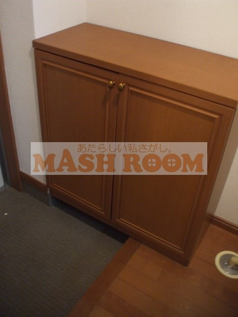 中野区丸山２丁目の賃貸マンションの玄関