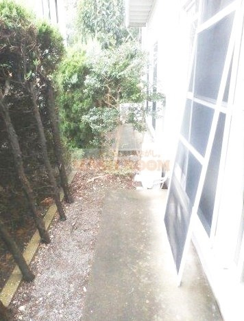 杉並区上井草４丁目のアパートのバルコニー