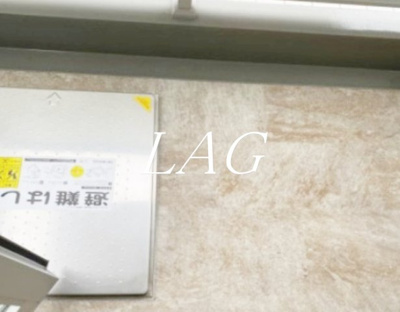 【バルコニー】 | クレヴィスタ戸越公園 | バルコニーです。