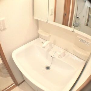 【独立洗面台】 | 柚子椿