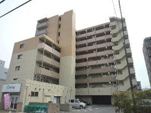 エヴァーグリーン新羽の画像