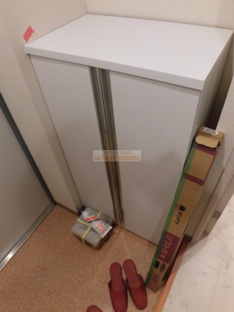 中野区本町２丁目の賃貸マンションの玄関