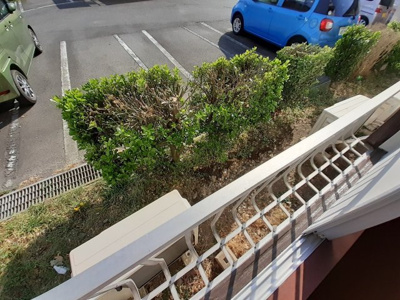 【展望】 | 花泉ハナハイム