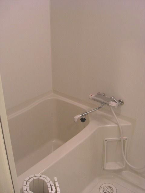 ラグジュアリーアパートメント本郷の浴室