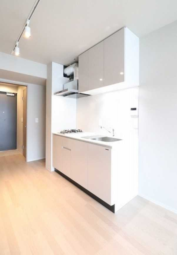 The Grand Terrace Wakabayashi　築浅　礼金0　ネット無料のキッチン