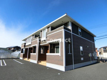 ブラッシュ　６１の画像