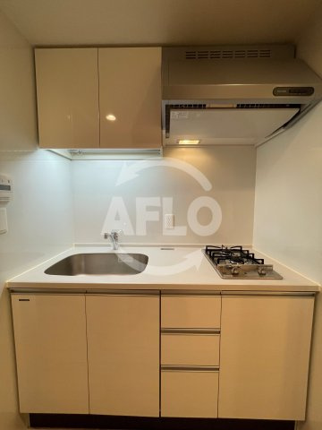 パークアクシス心斎橋のキッチン|パークアクシス心斎橋　2口ガスシステムキッチン