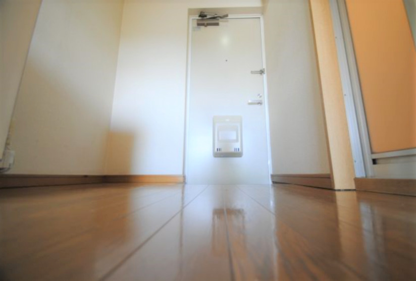 プライマリー上津バイパスの玄関|きれいな玄関です