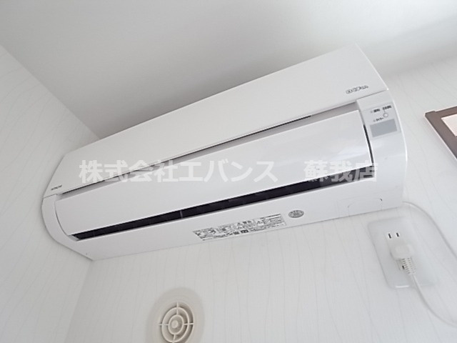  | シャオラン青葉