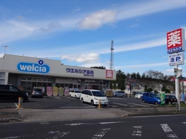ウエルシア四街道大日店 430m