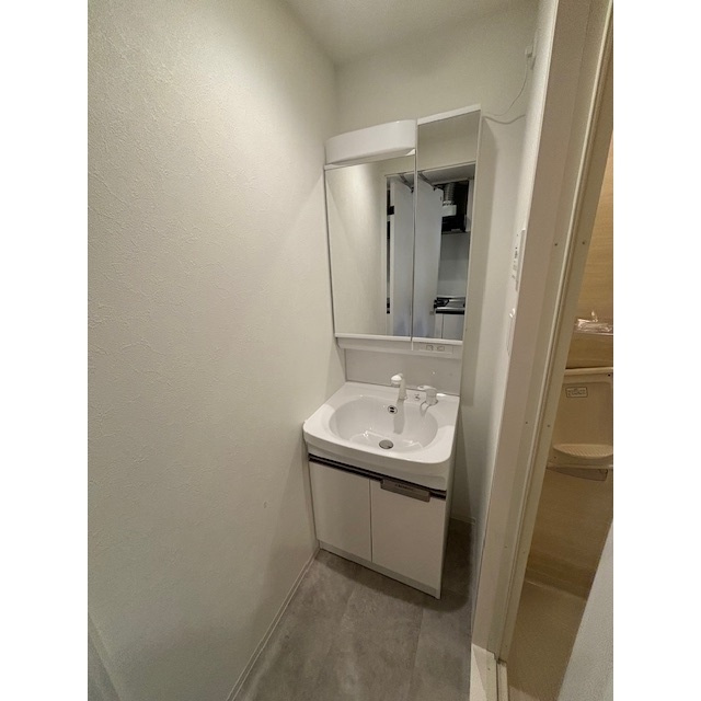 ウインズコート桜塚の洗面所