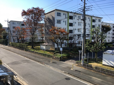 【展望】 | ワグテイル