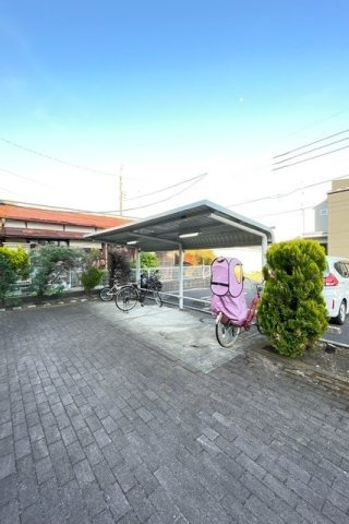 プリムローズのその他