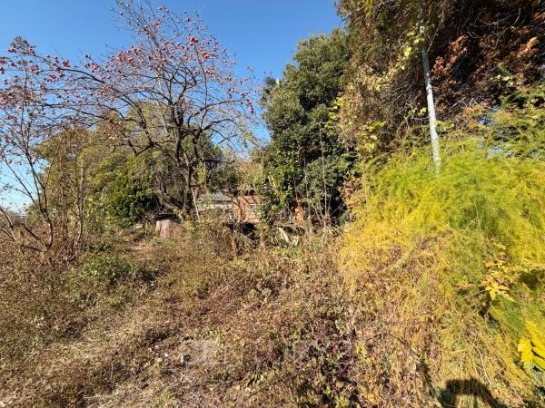 前橋市五代町土地のその他