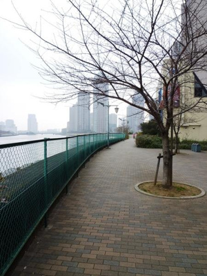  | プラウドフラット隅田リバーサイド