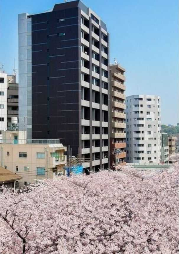 パークフラッツ中目黒　ペット相談　トランクルーム　南向き