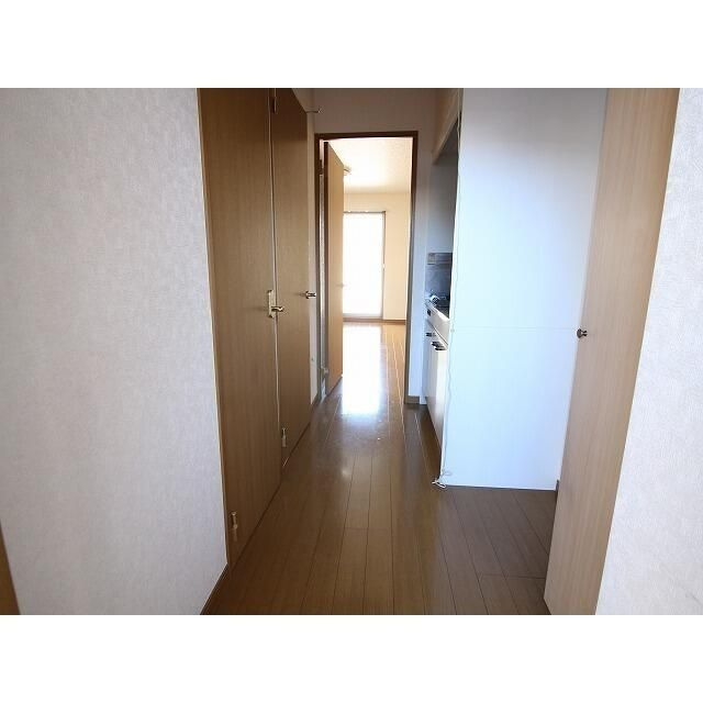 アムール　Ｙのその他