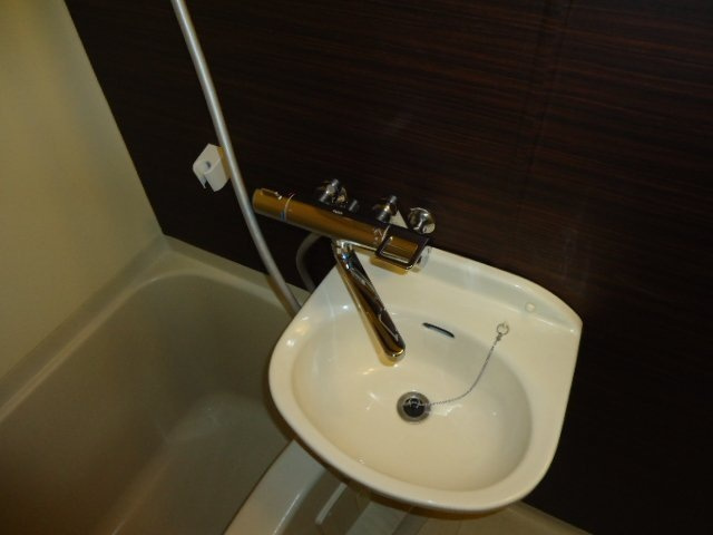 ユースパレス土井の洗面所