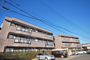 アルディの画像