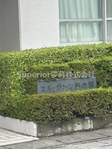 【中古マンション】エバーグリーンにおの浜のその他