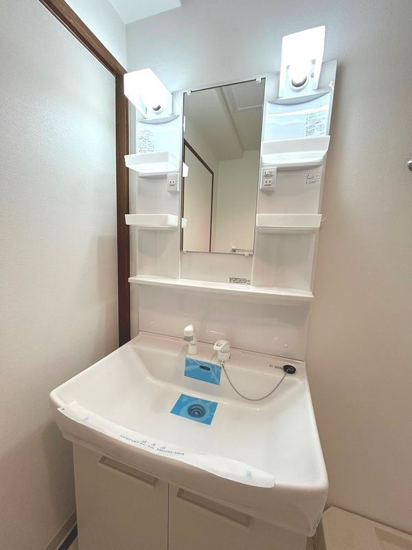 ロフティー平井の洗面所