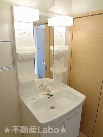 ルイ・メゾンK Ⅱの洗面所